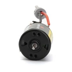 Spektrum Firma Rebuildable Brushed Motors 3 Pole -Remote Control Car Store SPMXSM5353 A3 UVAOSLK3